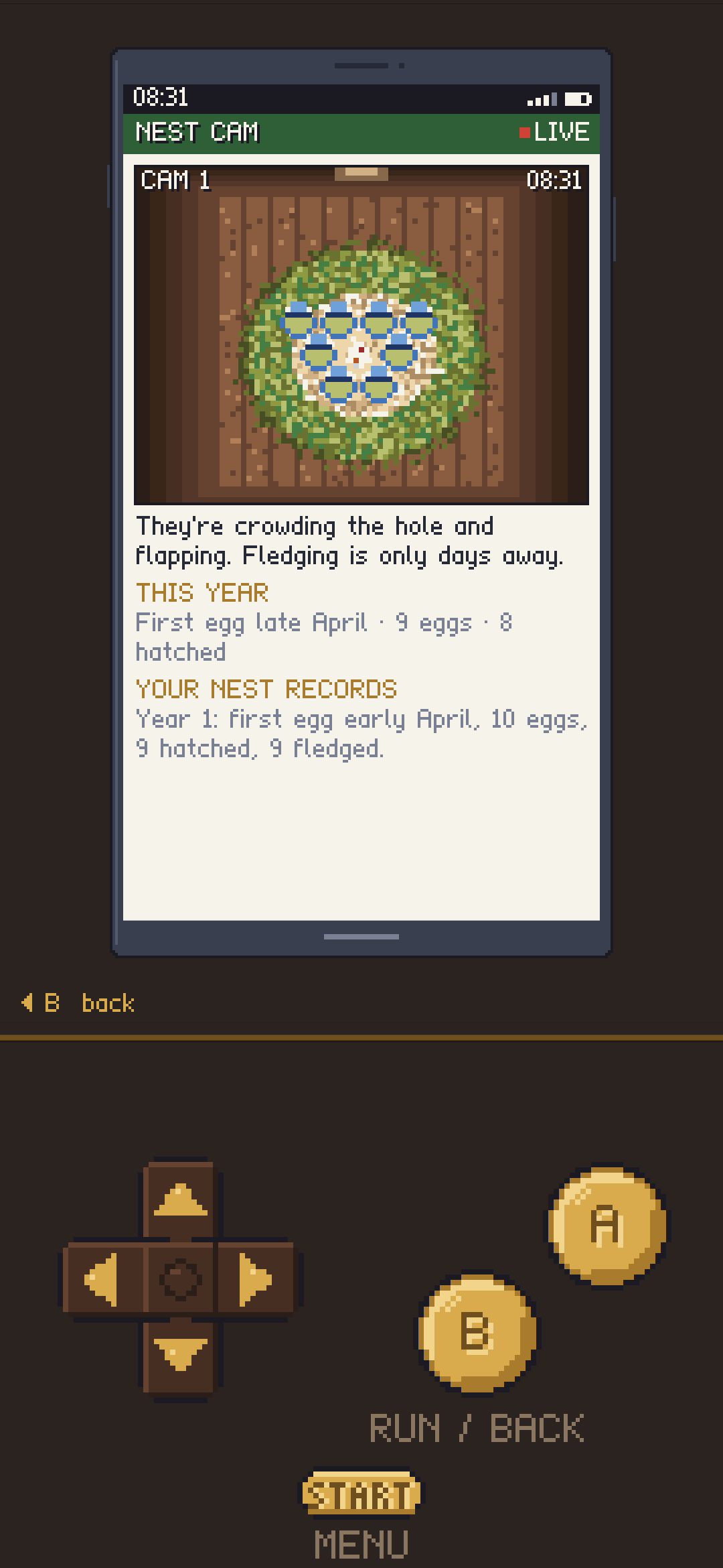 The Nest Cam app on the in-game phone: blue tit chicks crowding a nest box, with this year's record below.
