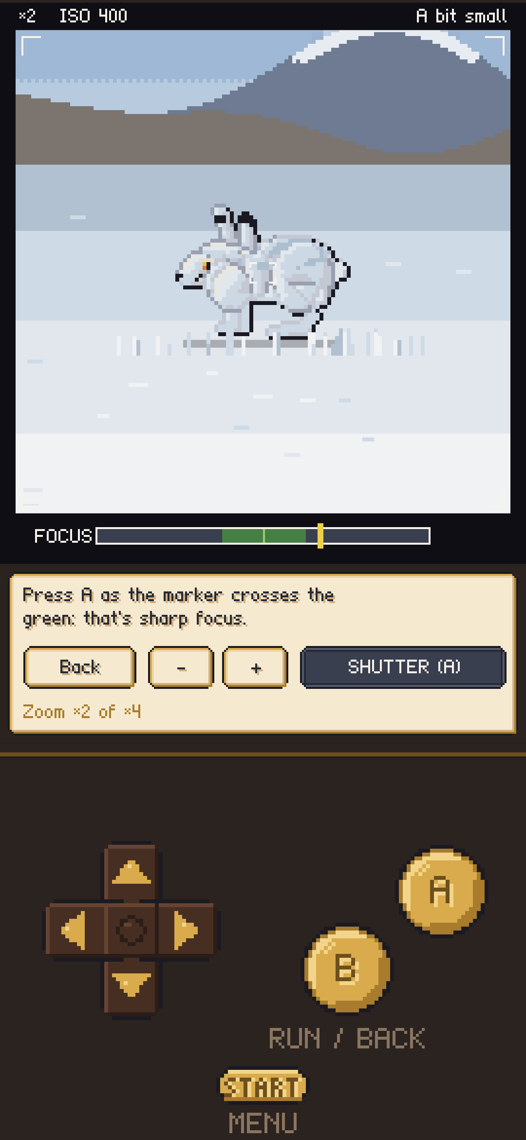 The viewfinder: a mountain hare in its white winter coat, with a focus bar.
