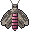 Convolvulus hawk-moth