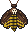 Death's-head hawk-moth